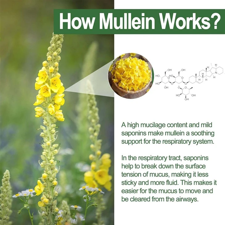 Mullein Gummies high quality