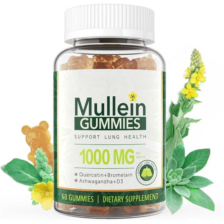 permen karet mullein