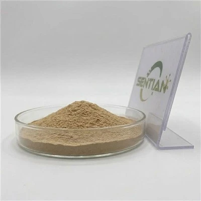 Ekstrak Silybum Marianum